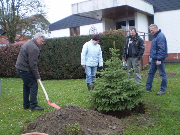 tannenbaumpflanzung4.jpg